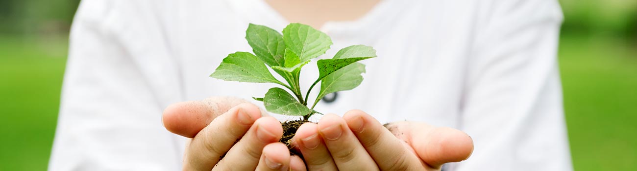 绿色部门_1300x350 绿色部门_1300x350